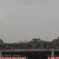 17_50-mast.jpg