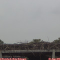 18_30-mast.jpg