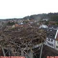 18_30-nest.jpg