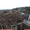18_35-nest.jpg