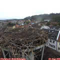 18_40-nest.jpg