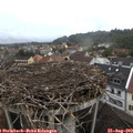 18_45-nest.jpg