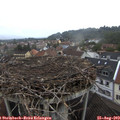 18_55-nest.jpg