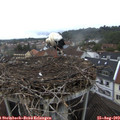 19_30-nest.jpg