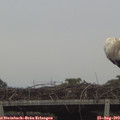 19_35-mast.jpg