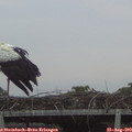 20_05-mast.jpg