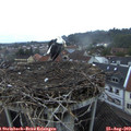 20_05-nest.jpg