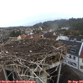 06_40-nest.jpg