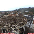 06_45-nest.jpg