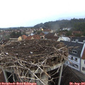 06_50-nest.jpg