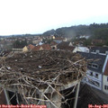06_55-nest.jpg