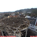 07_00-nest.jpg