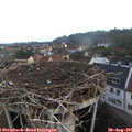 07_05-nest.jpg