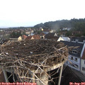 07_15-nest.jpg