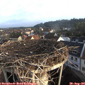 07_20-nest.jpg