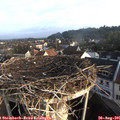 07_25-nest.jpg