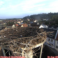 07_35-nest.jpg
