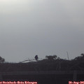 07_45-mast.jpg
