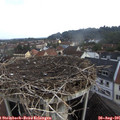 07_55-nest.jpg