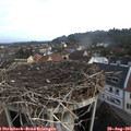 08_00-nest.jpg