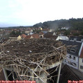 08_05-nest.jpg