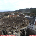 08_10-nest.jpg