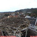 08_15-nest.jpg