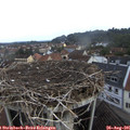 08_20-nest.jpg