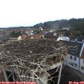 08_25-nest.jpg