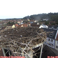 08_30-nest.jpg