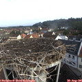 08_35-nest.jpg