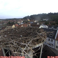 08_40-nest.jpg