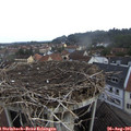 08_45-nest.jpg