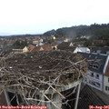 08_50-nest.jpg