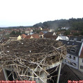 08_55-nest.jpg