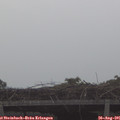 09_05-mast.jpg