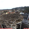 09_05-nest.jpg