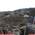 09_10-nest.jpg