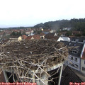 09_15-nest.jpg