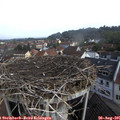 09_20-nest.jpg