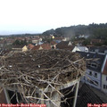 09_25-nest.jpg