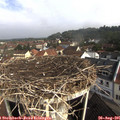 09_30-nest.jpg