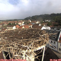 09_35-nest.jpg
