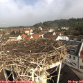 09_40-nest.jpg