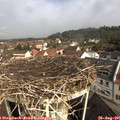 09_45-nest.jpg