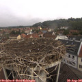 09_50-nest.jpg