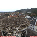 10_05-nest.jpg
