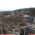 10_10-nest.jpg