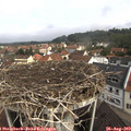10_15-nest.jpg