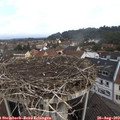 10_20-nest.jpg